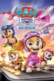 Patrulha Canina: Air Rescue