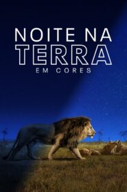 Noite na Terra em Cores