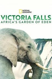 Cataratas de Vitória: Jardim do Éden da África