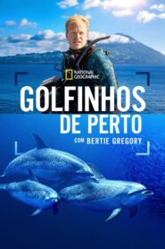 Golfinhos de Perto com Bertie Gregory