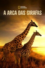 A Arca das Girafas