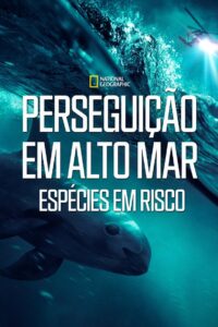 Perseguição em Alto Mar – Espécies em Risco