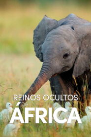 Reinos Ocultos da África