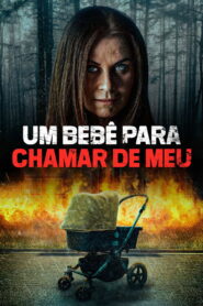 Um Bebê Para Chamar de Meu